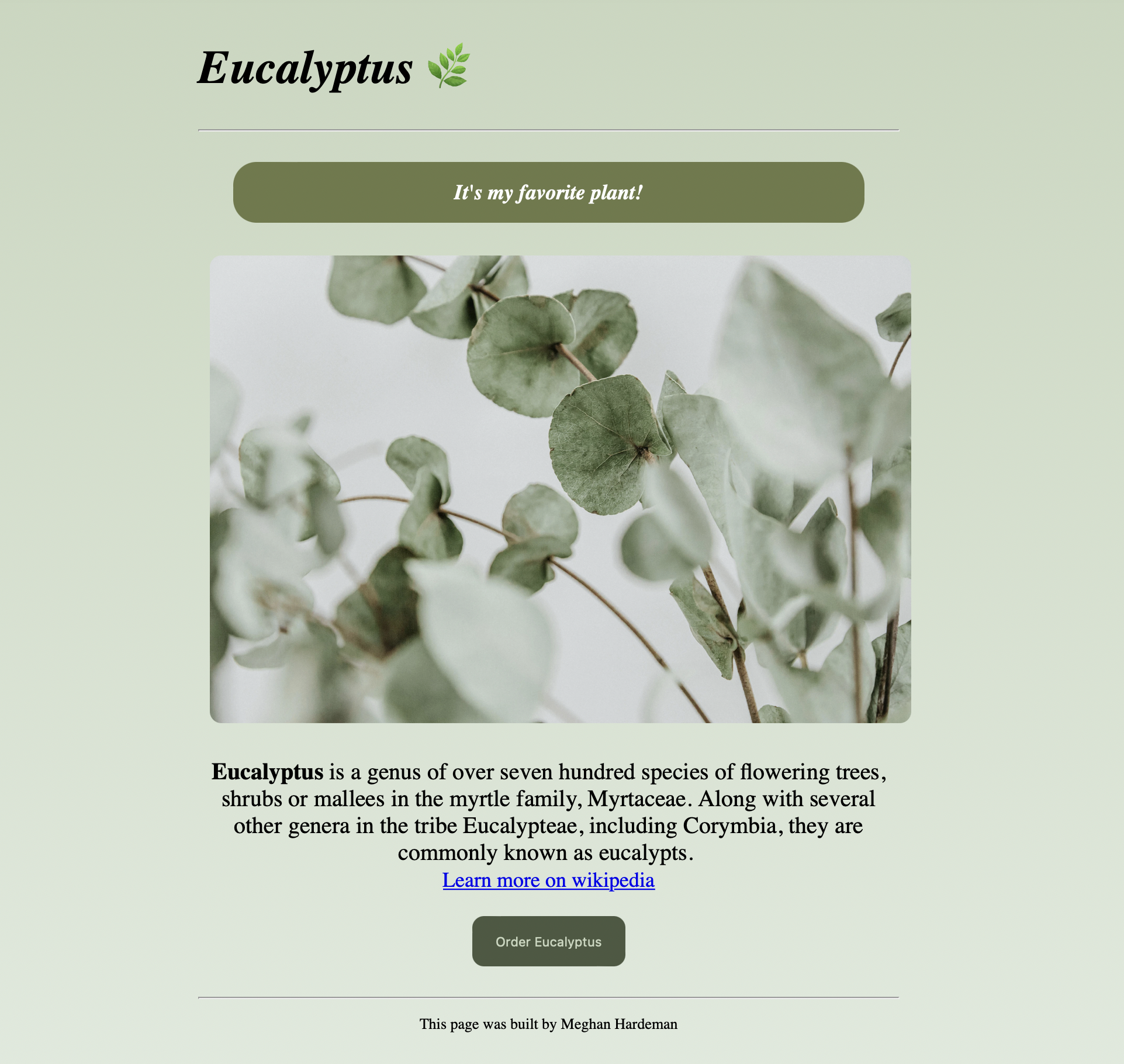 Ecalyptus Project